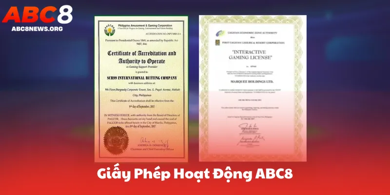 Giấy phép hoạt động abc8