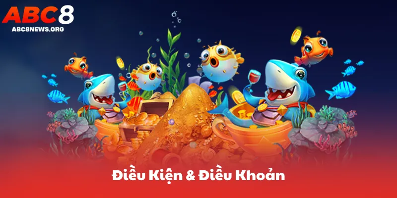 Điều Kiện & Điều Khoản